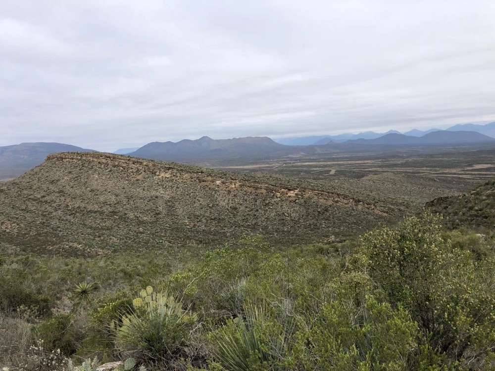 Pastizal y sierra de Rancho Las Uvas, Coahuila